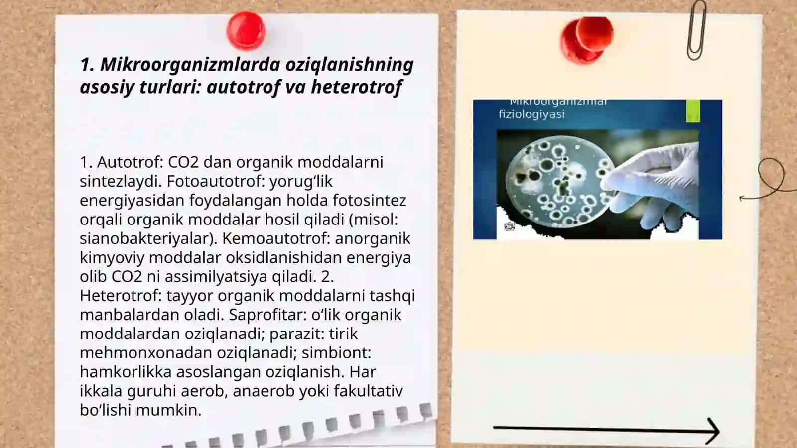 Mikroorganizmlar fiziologiyasi 3