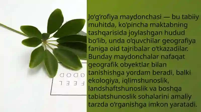 Jo‘g‘rofiya maydonchasi, tirik tabiat burchagi, o‘quv tajriba uchastkasida darslarni o‘tkazish metodikasi. Kuzatish va tajribalarni tashkil etish usullarini o‘rganish 3