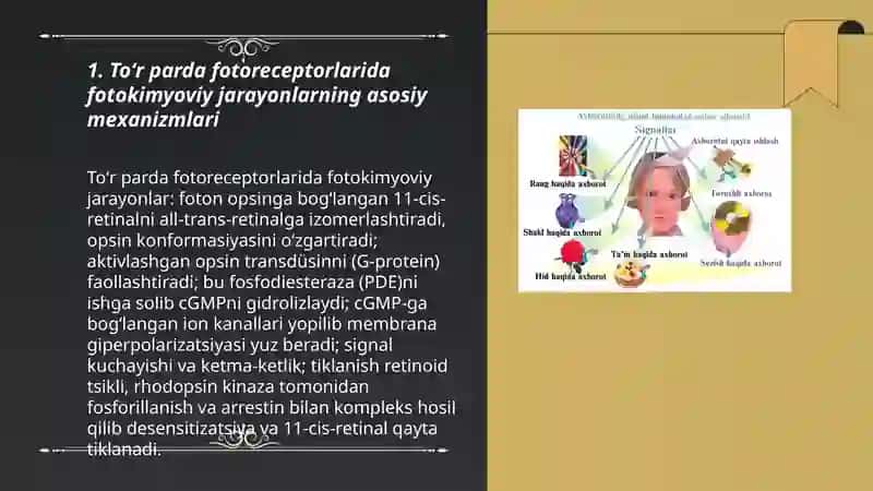 To'r pardadagi fotokimyoviy jarayon.Rang sezish nazariyalari 3