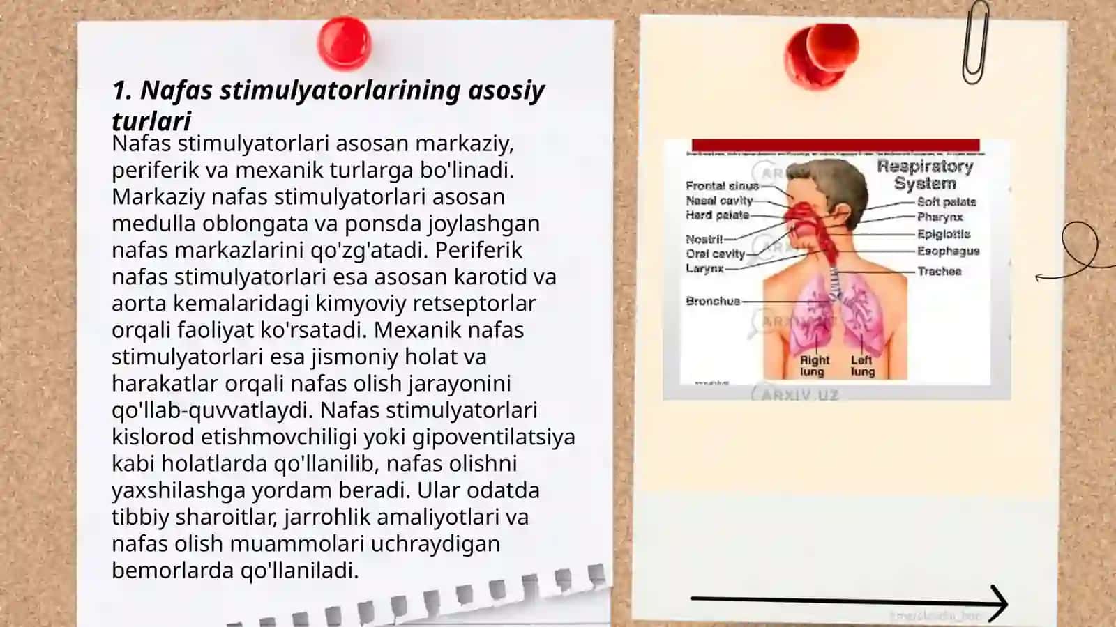 Nafas Stimulyatori 3