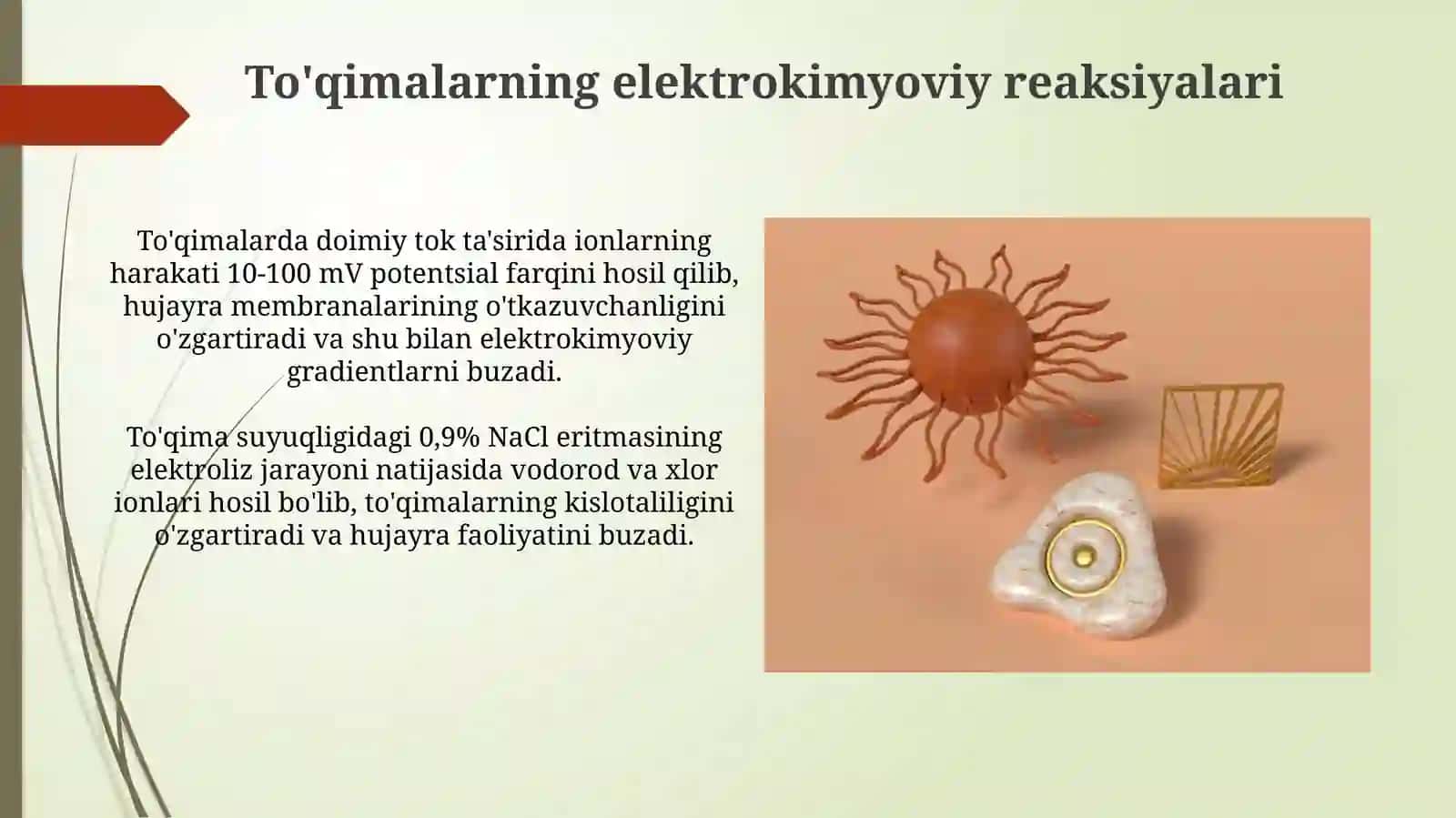Organizm toʻqimalariga oʻzgarmas tokning birlamchi taʼsiri 3