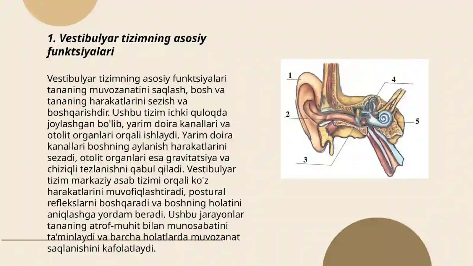 Vestibulyar tizimdagi sensor disfunksiyani tavsiflang.Proprioretspsiya tizimdagi sensor disfunksiyani tavsiflang.Eshituv tizimidagi sensor disfunksiyani tavsiflang 3