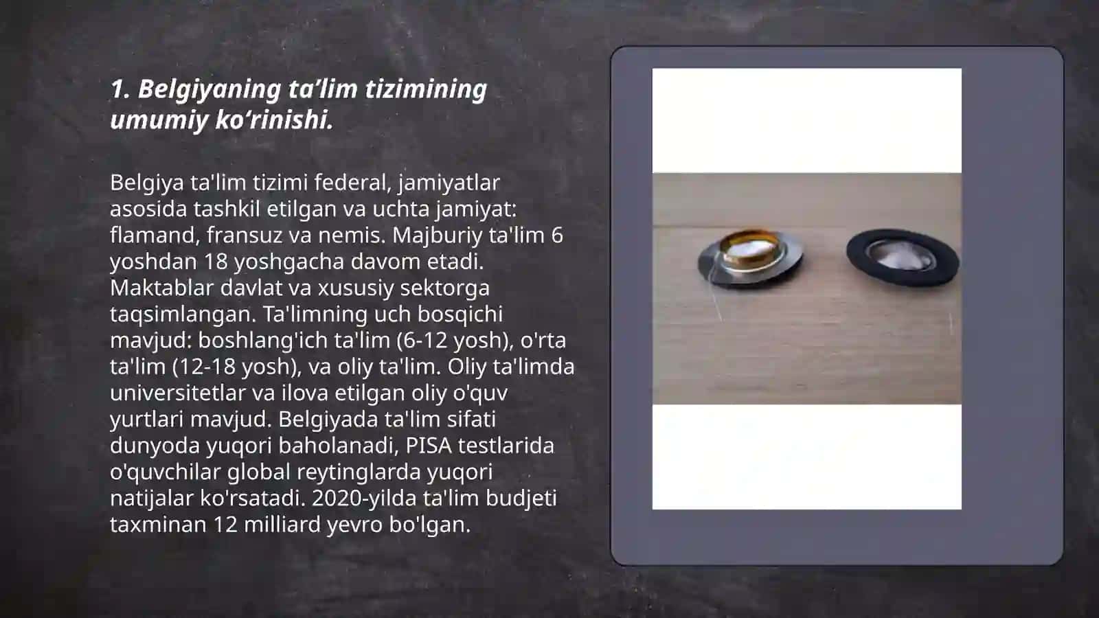 Belgiya taʼlim tizimi 3