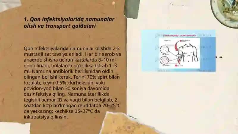 Qon infektsiyalarida namunalar olish va transport qoidalari 3