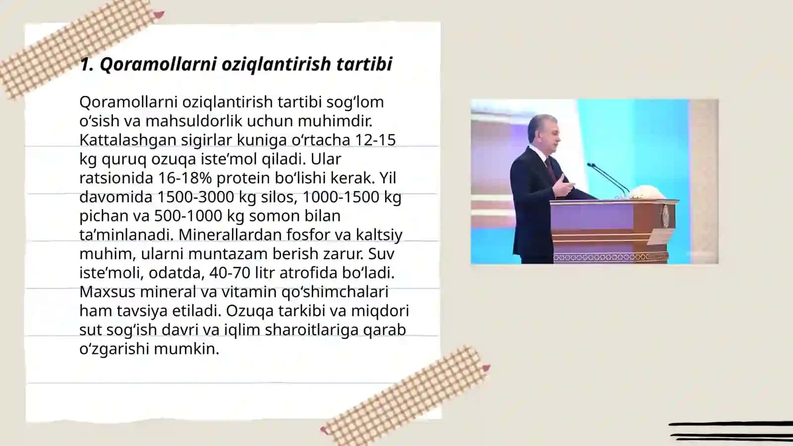 Qoramollar haqida malumot 3