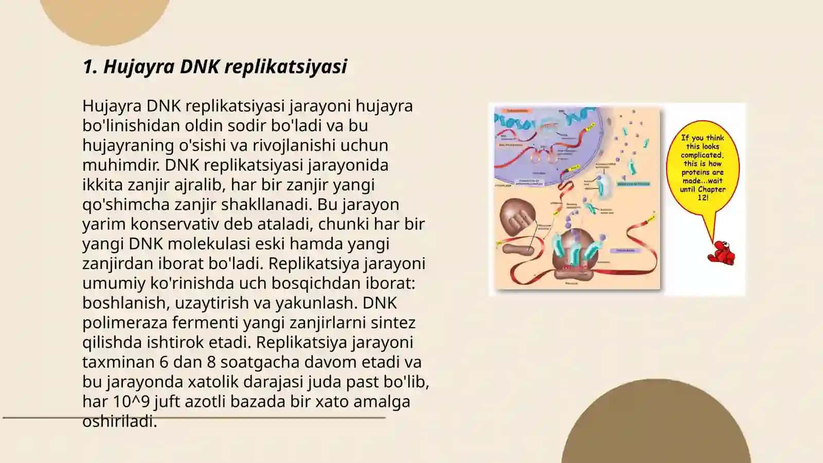Hujayrada transkripsiya, translayatsiya va replikatsiya jarayonlari 3