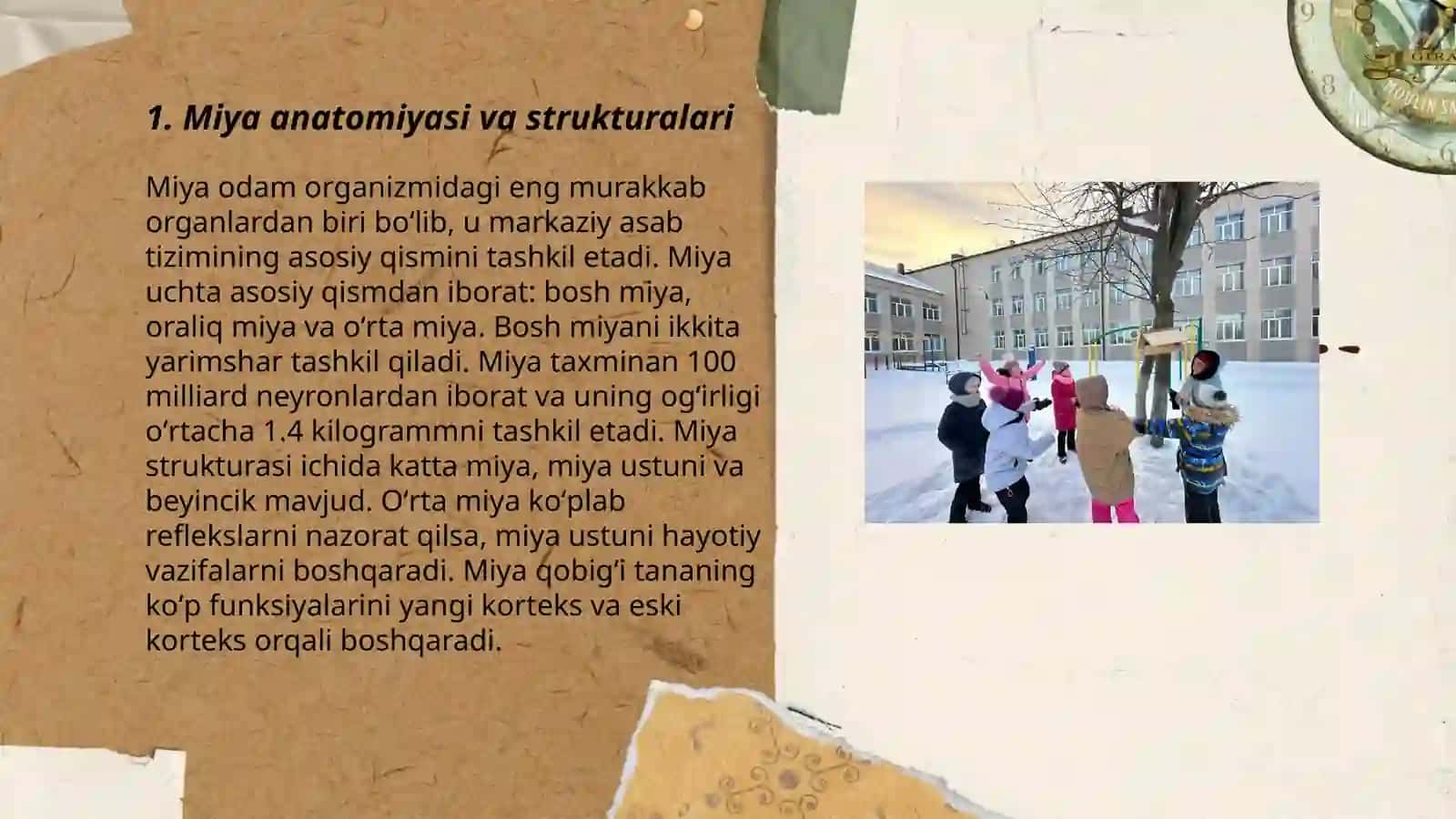 Miya falajida korreksion ishlar 3