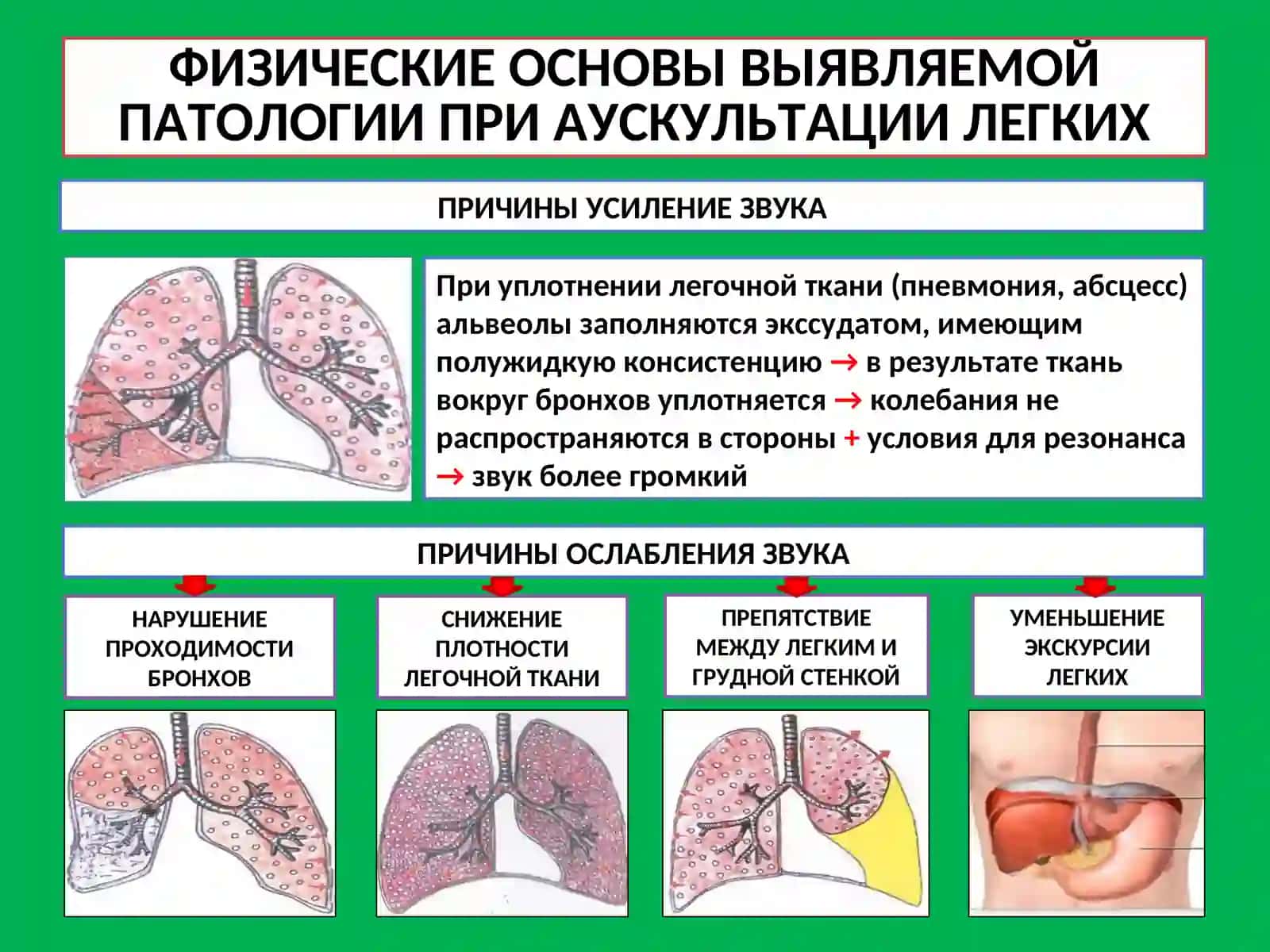 ФИЗИЧЕСКИЕ ОСНОВЫ АУСКУЛЬТАЦИИ 3