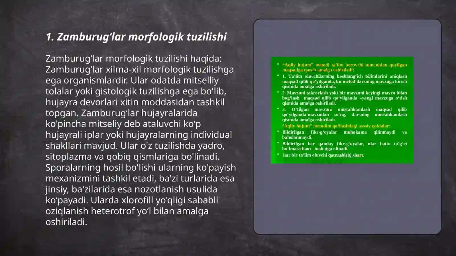 Zamburugʻlar,sodda jonivorlar.Ularning morfologiyasi,strukturasi va ularni oʻrganish usullari 3