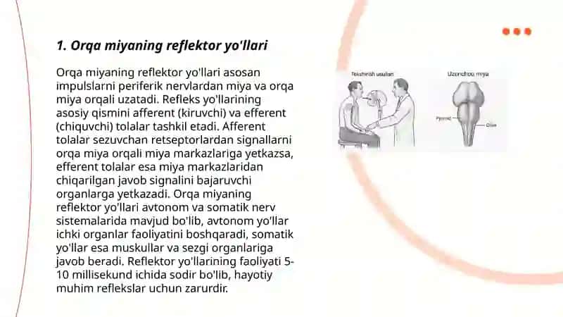Orqa miyaning reflektor va o'tkazuvchi yo'l faoliyati, tekshirish usullari Uzunchoq miya va o'rta miya. 3