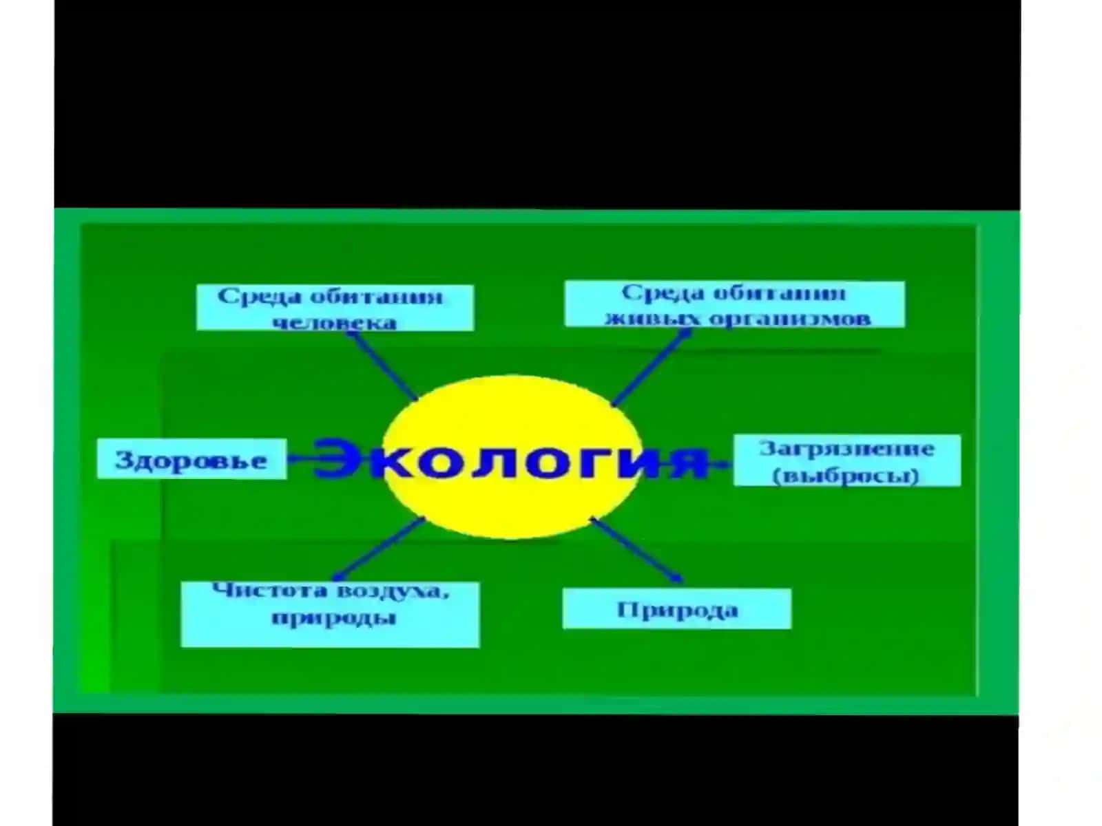 Рольнациональныхценностейв формированииеэкологическаякультуры 3