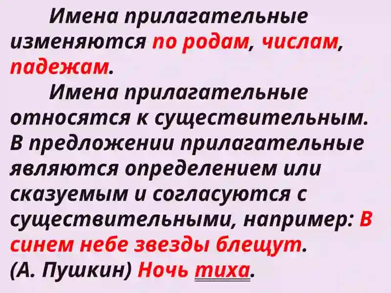 Имя прилагательное 3