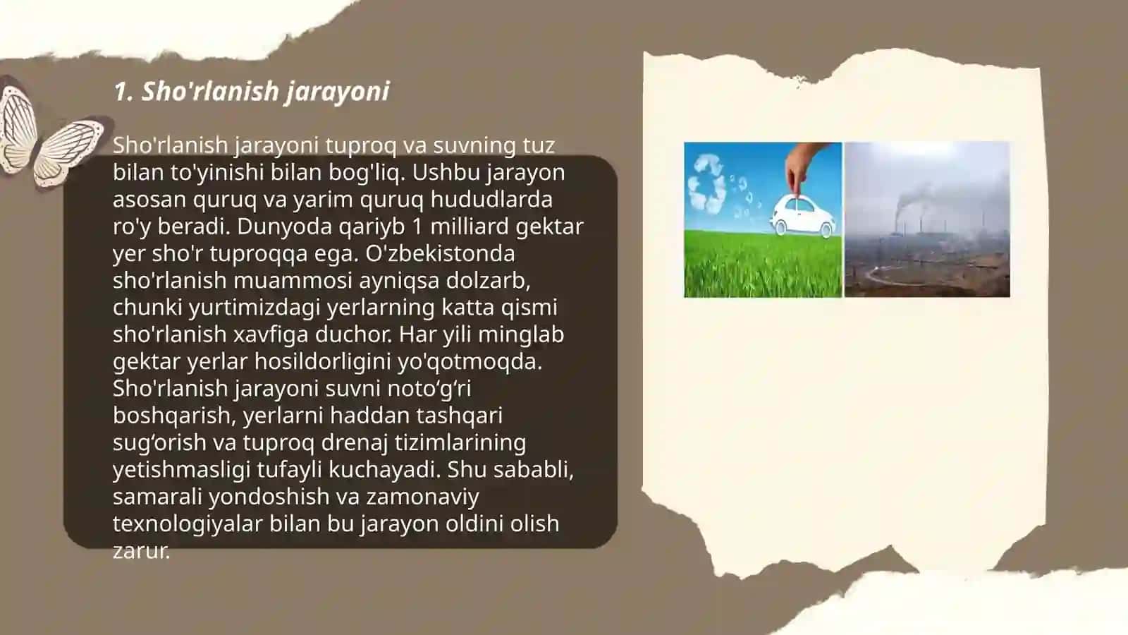 Sho'rlanish, cho'llanish, muammolari va atrof-muhit muhofazasi 3