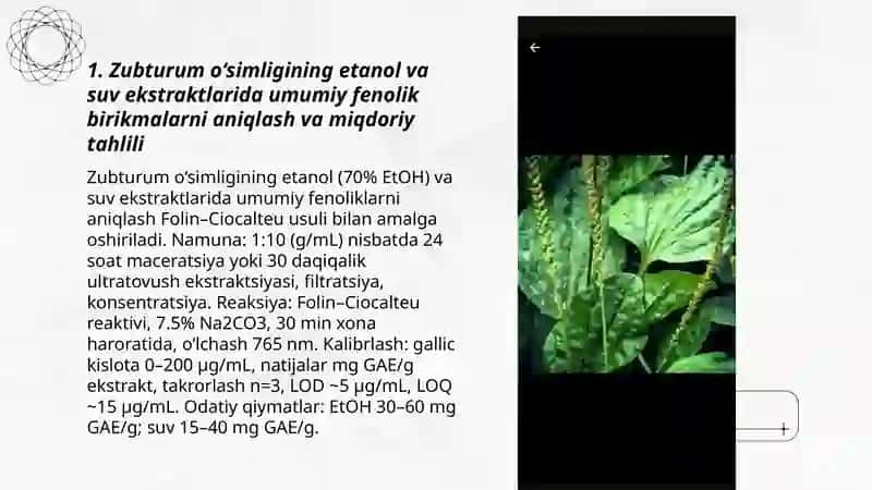 Zubturum o‘simligining shifobaxsh moddalarini kimyoviy o‘rganish 3