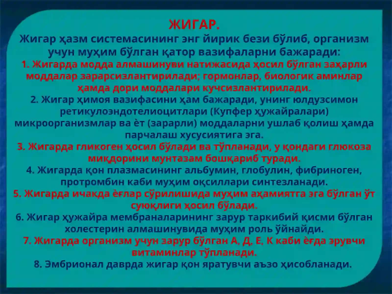 ҲАЗМ БЕЗЛАРИ. Жигар ва ўт йўллари. Меъда ости бези 3