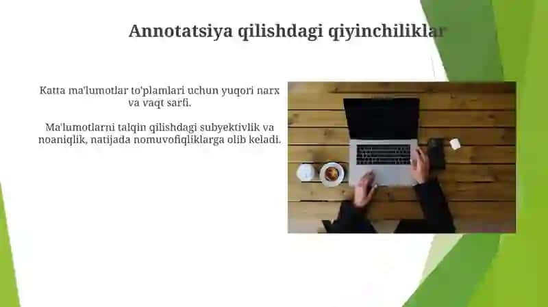Annotasiya 3