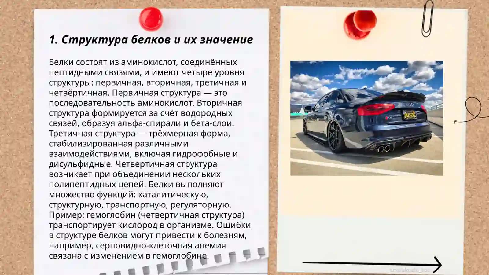 Структура белков и их значение 3