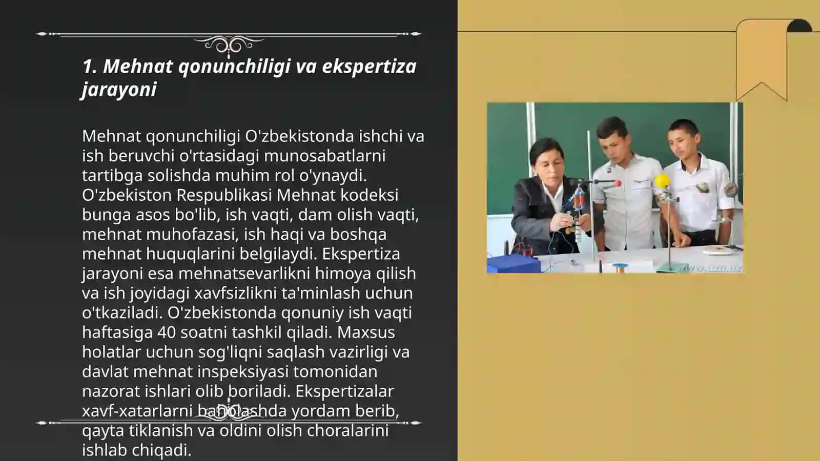 Mehnat ekspertizasing tashkiliy masalalari 3