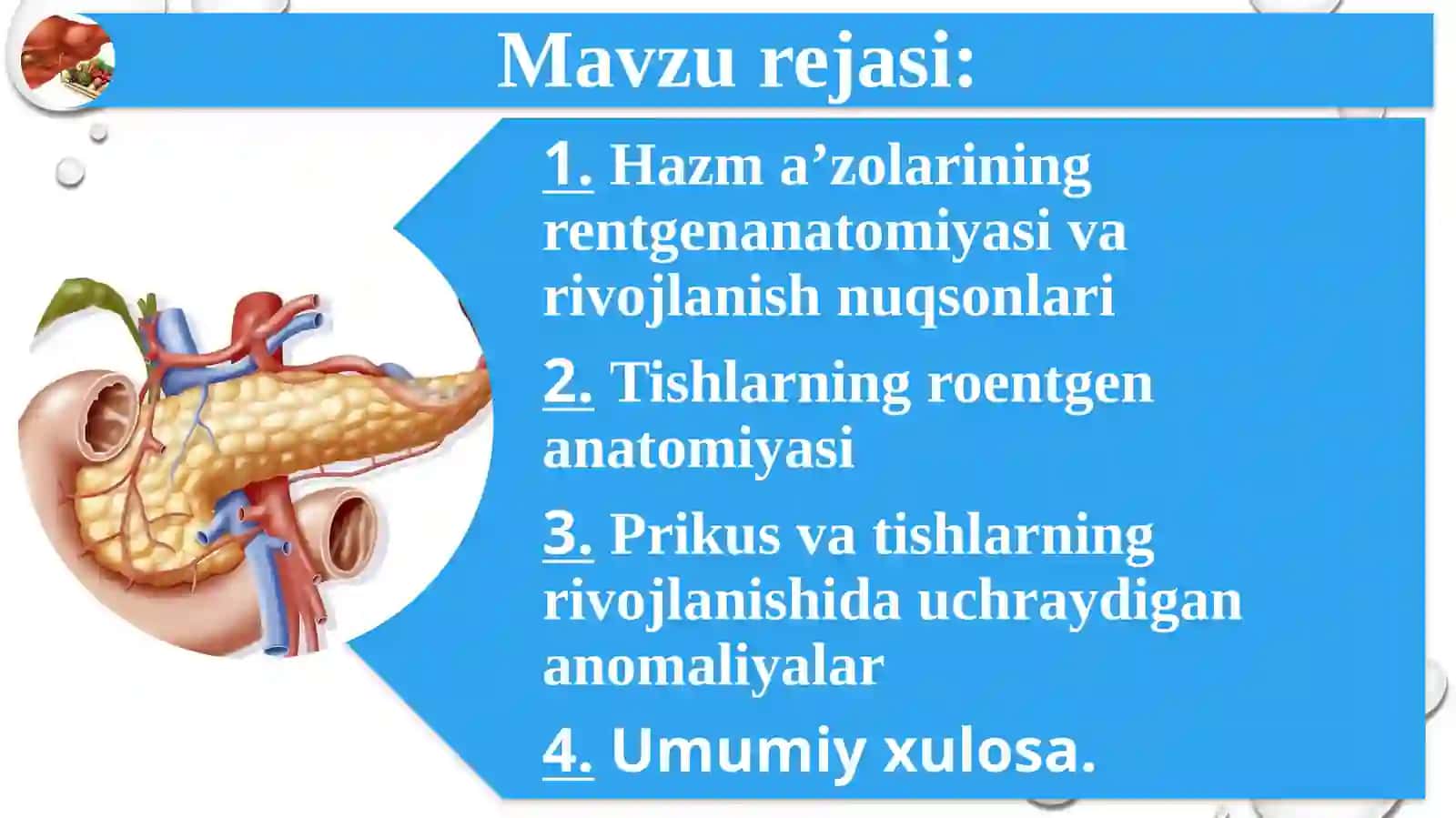 Hazma’zolarining rentgen anatomiyasi va rivojlanish nuqsonlari 3