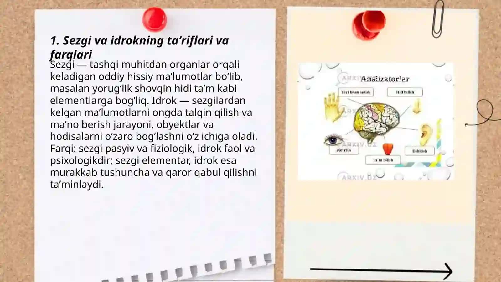 Sezgi va idrok haqida umumiy maʼlumotlar 3