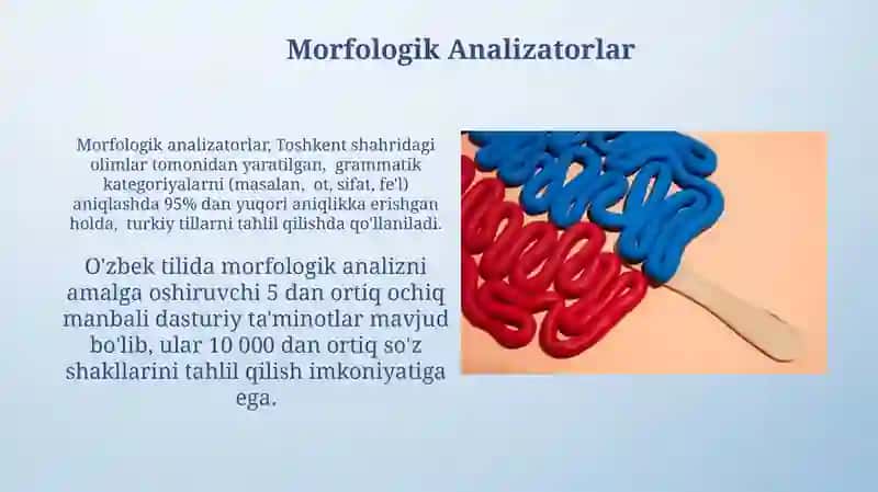 Morfologik Analizatorlar 3