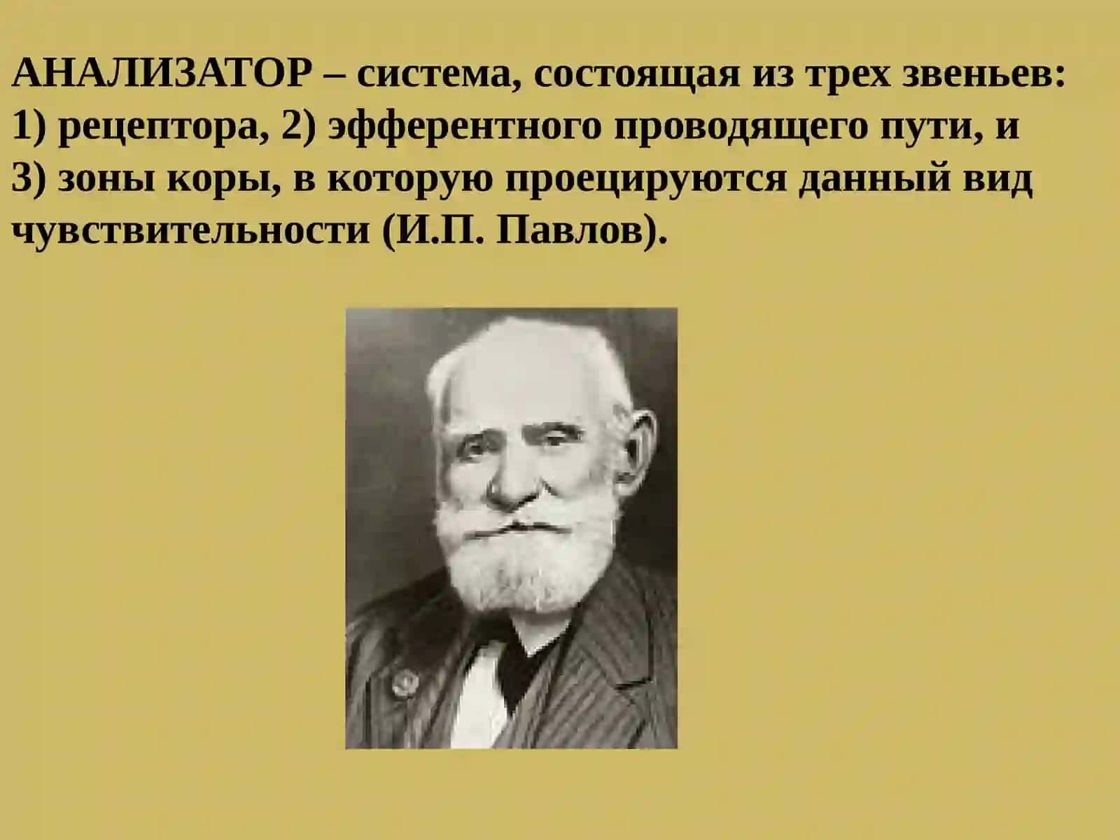 ПРОВОДЯЩИЕ ПУТИ ГОЛОВНОГО И СПИННОГО МОЗГА 3