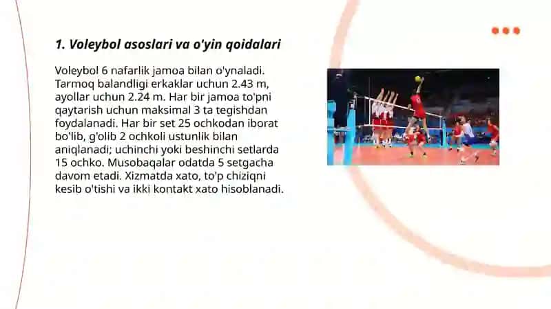 Valleyball 3