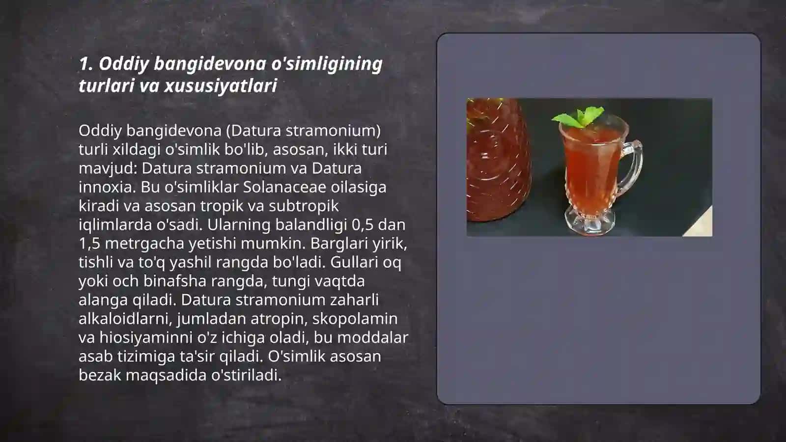 Oddiy bangidevona va yassi bargli senetsio mahsulotlaridan fitopreparatlar tayyorlash 3