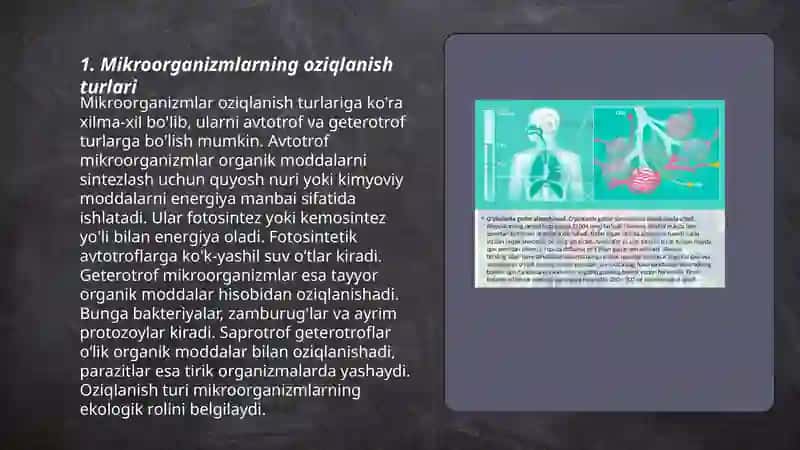 Mikroorganizmlarning oziqlanishi va nafas olishi 3