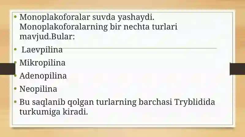 Monoplakoforalarning umumiy tuzilishi 3