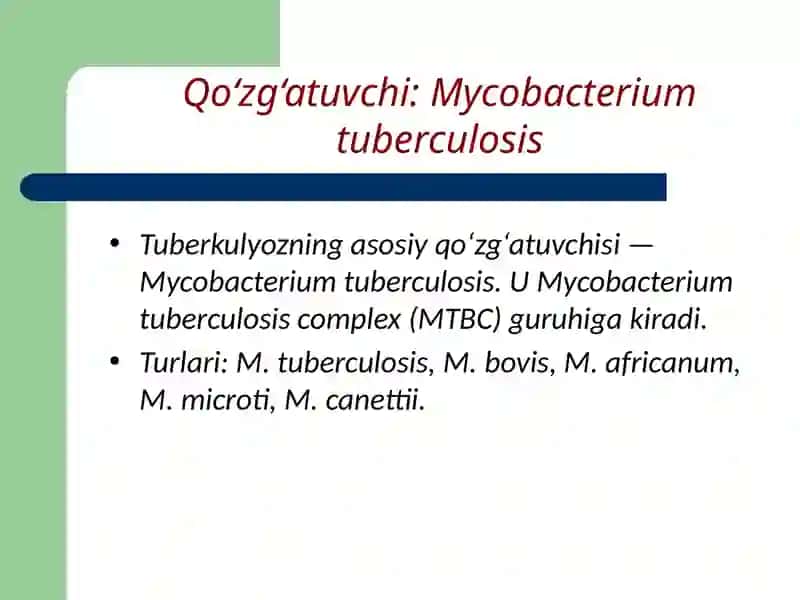 Tuberkulyoz etiologiyasi va mikobakteriyaning dorilarga chidamlilik turlari 3