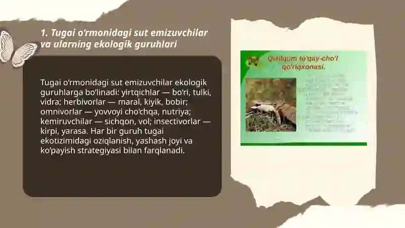 To‘qay o‘rmoni (tugai) hayvonlari va ularning ekologik guruhlari 3