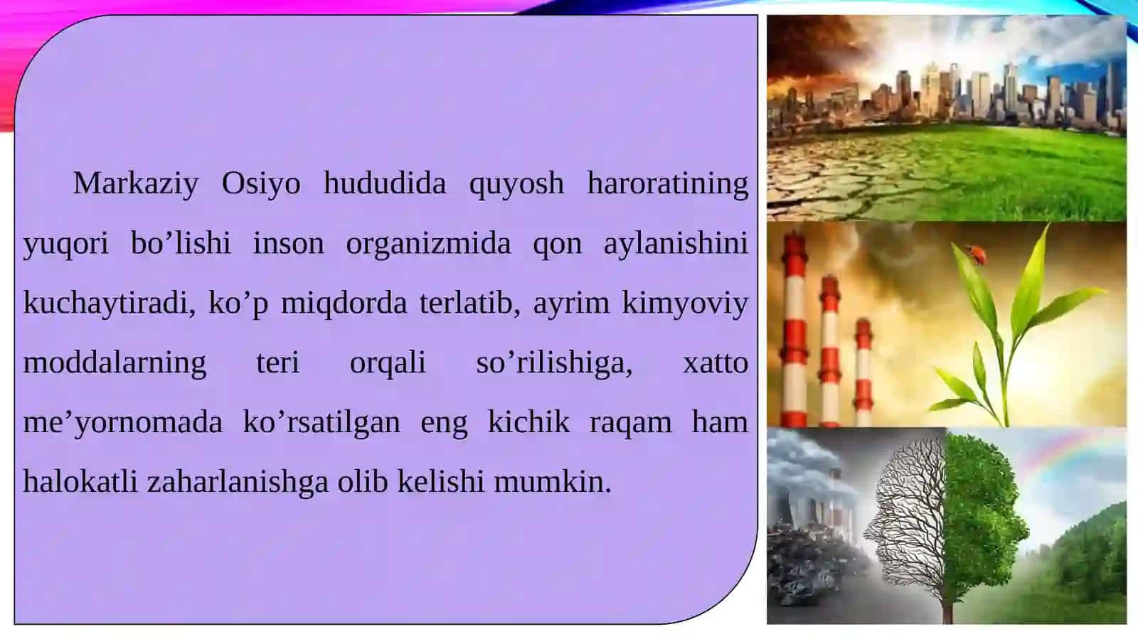 Tabiatning qayta tiklanishi 3