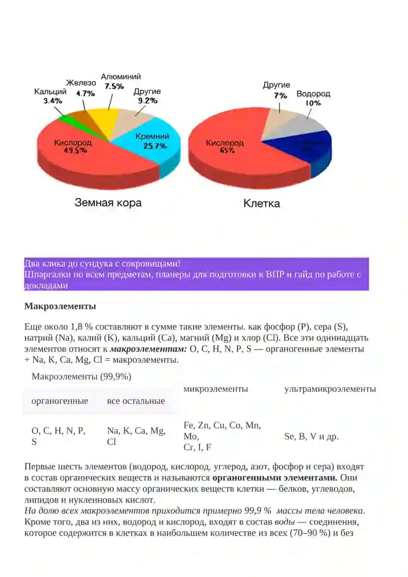 Элементарный состав живого Организма 3