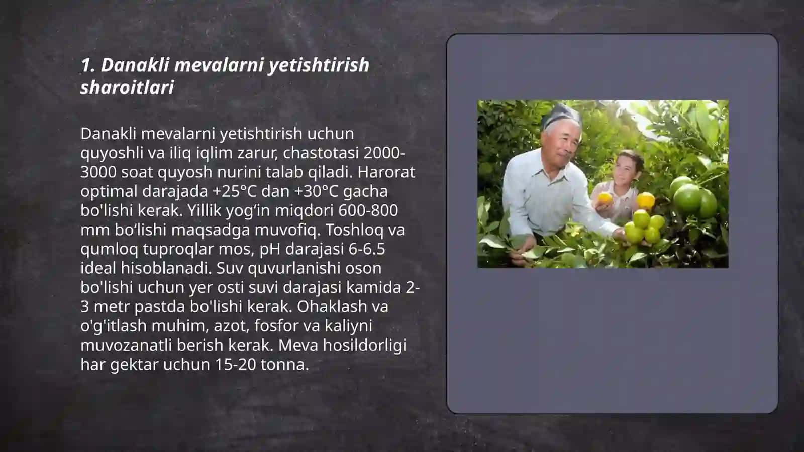 Danakli mevalarni yetishtirish va ularga shakl berish texnologiyasi 3