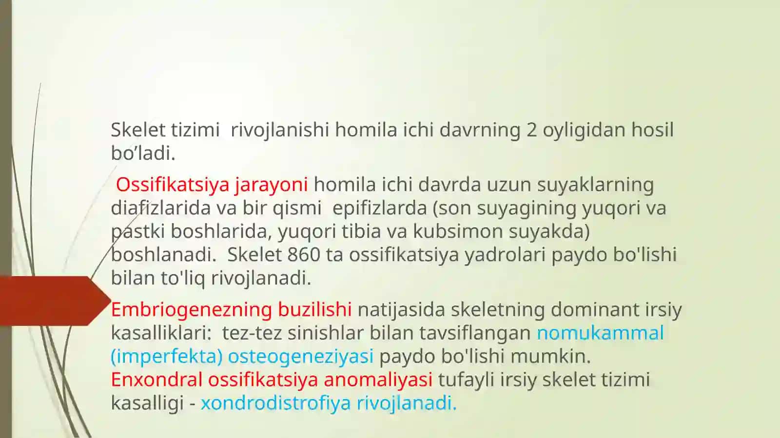 Bolalarda suyak-mushak sistemasining anatomo-fiziologik xususiyatlari. Suyak-mushak sistemasining jarohatlanish semiotikasi 3