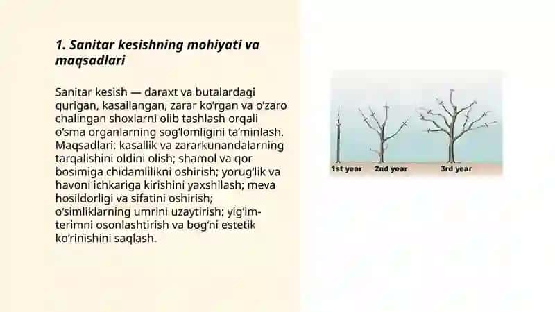 Bogʻlarda sanitar kesish usullari va uni oʻtkazish texnologiyasi 3