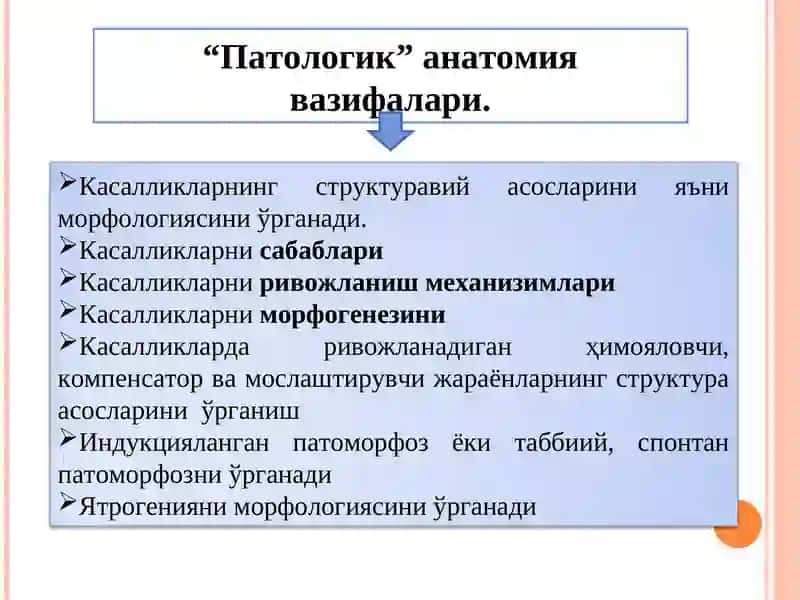 Паталогик анатомия фани, мазмуни мақсади, вазифаси, фан тарихи. Шикасланиш морфологияси.   Паталогик анатомия фани, мазмуни мақсади, вазифаси, фан тарихи. Шикасланиш морфологияси. 3