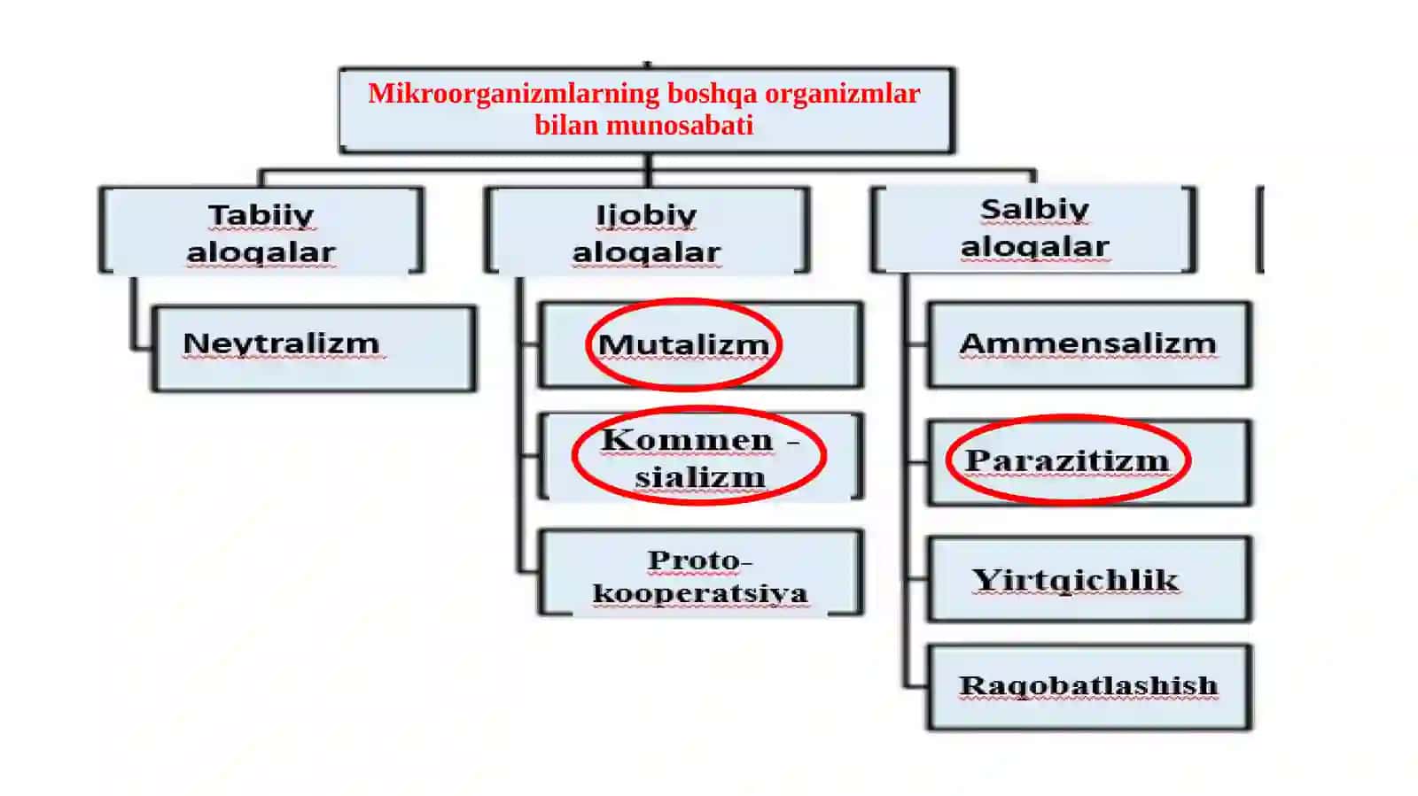 MIKROORGANIZMLARNING O’ZARO VA BOSHQA ORGANIZMLAR BILAN MUNOSABATI 3