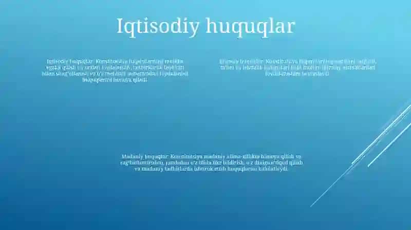 Iqtisodiy Ijtimoiy Madaniy Va Ekologik Huquqlarning Konstitutsiyaviy Asoslari 3