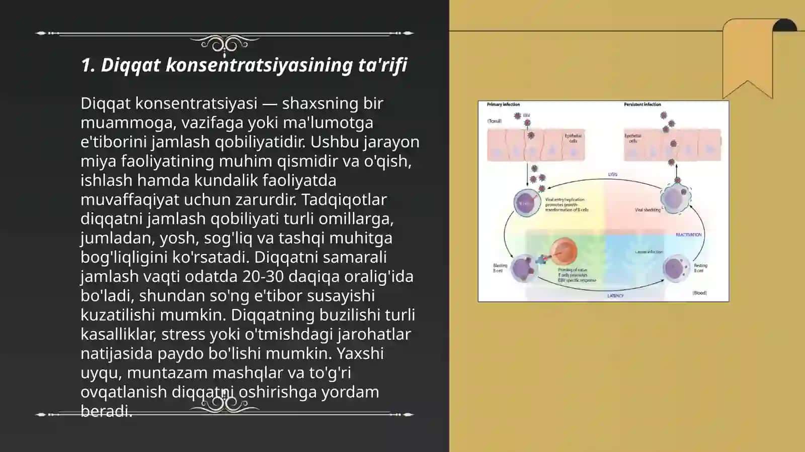 Diqqat konsentratsiyasi va mantiqiy hotira òrtasidagi boģliqlik 3