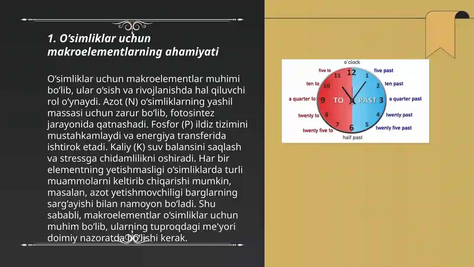 O‘simliklar uchun makroelementlarning ahamiyati 3