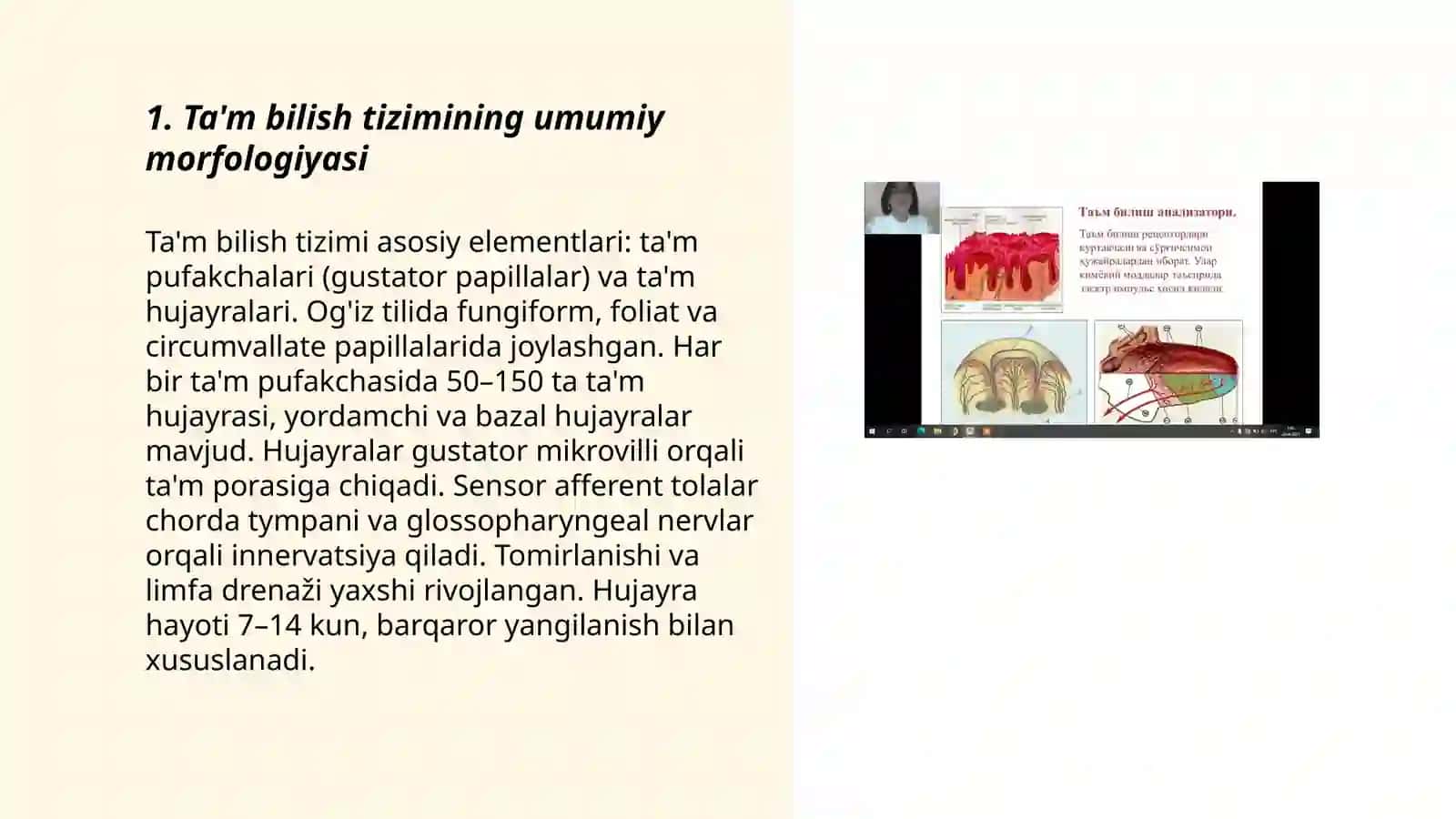 Ta'm bilish a'zolarining vazifaviy anatomiyasi 3