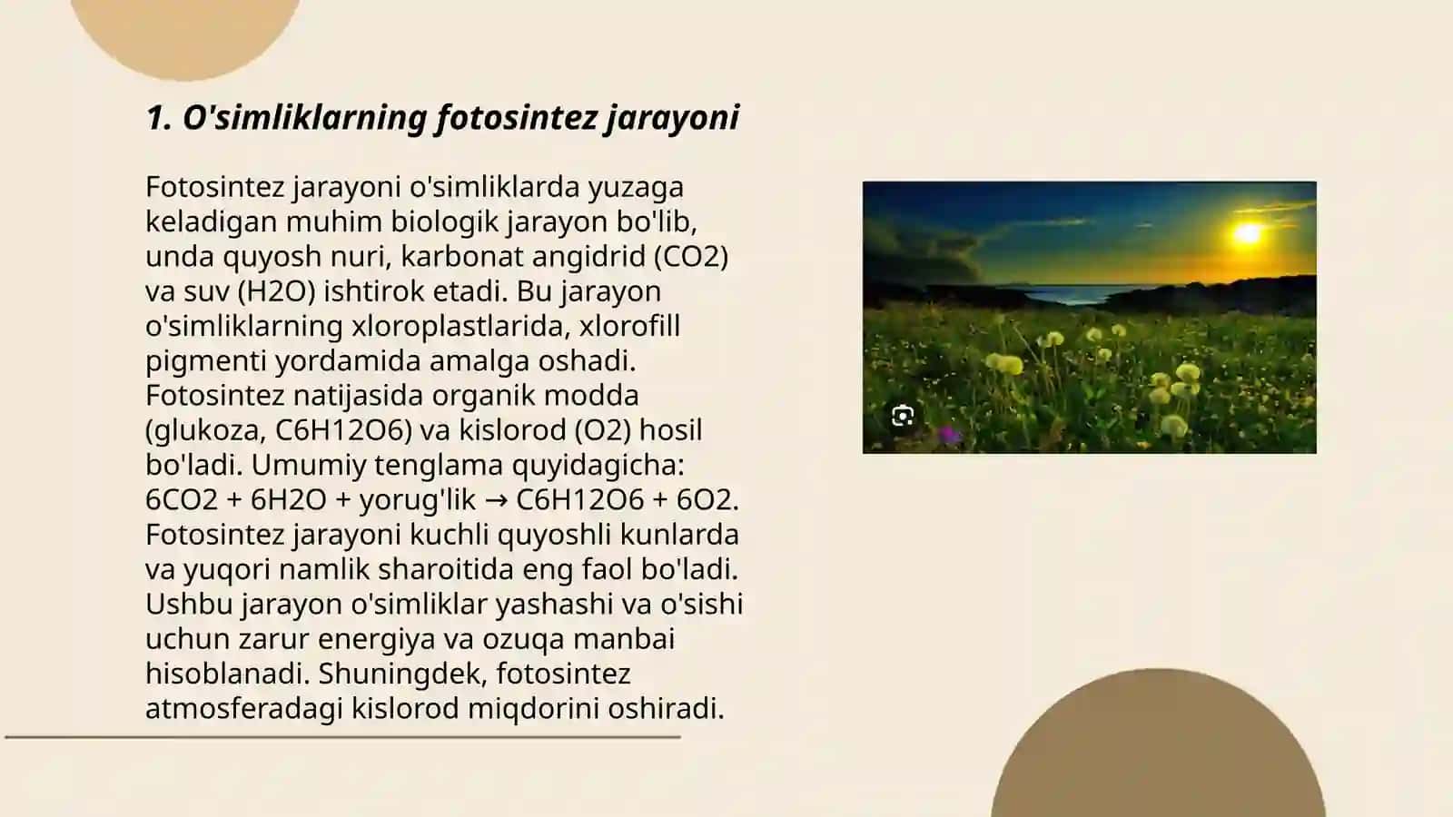 O'simliklar dunyosi va ularni hayot tarzi haqidagi bilimlarni bilib olish va tahlil gilish 3