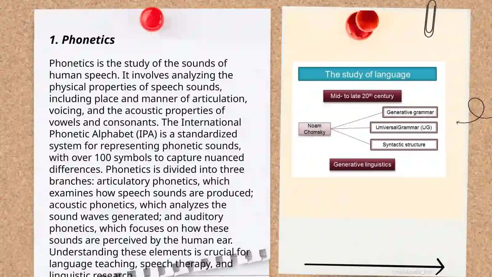 Phonetics 3