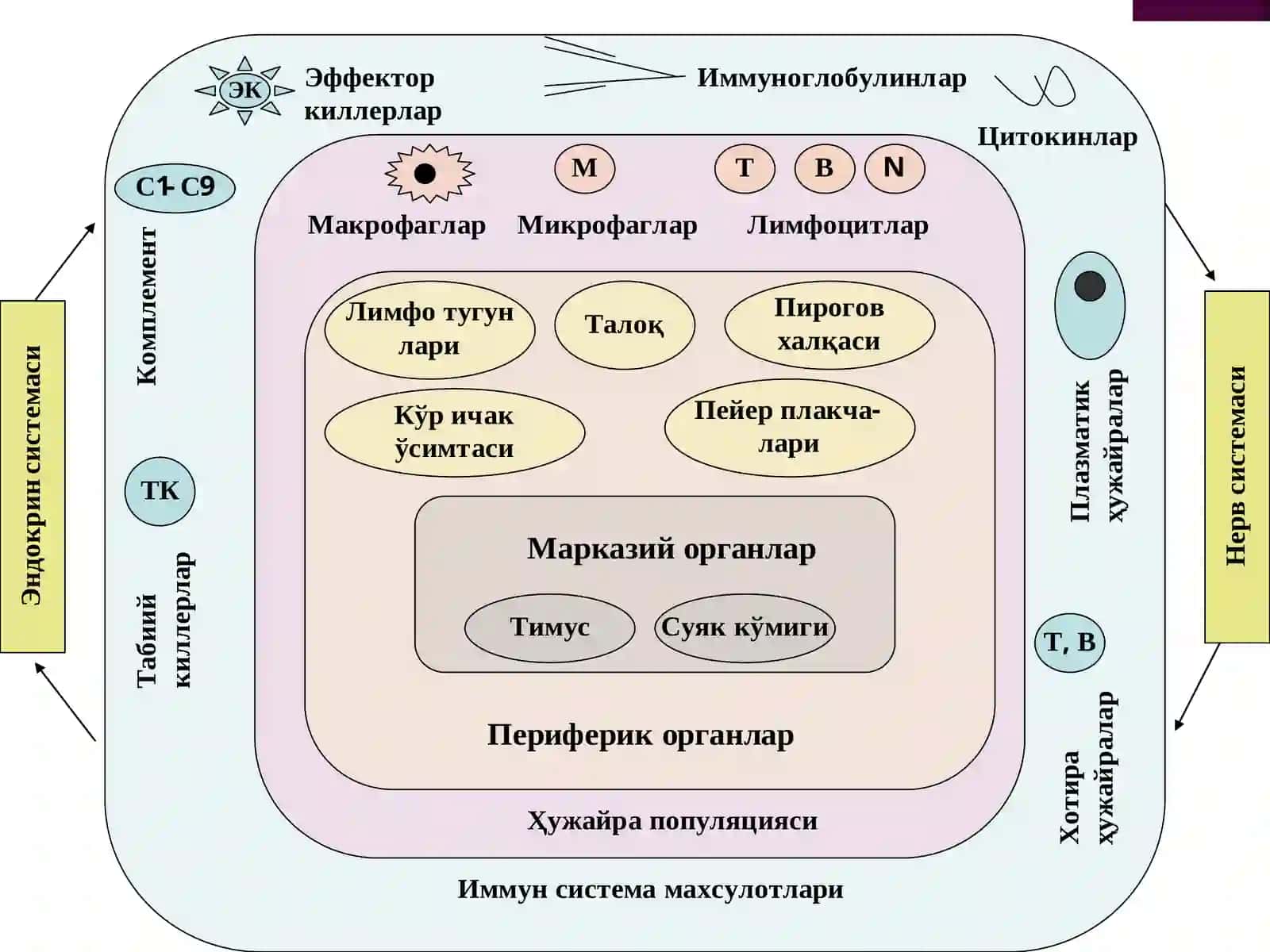 Маъруза 3