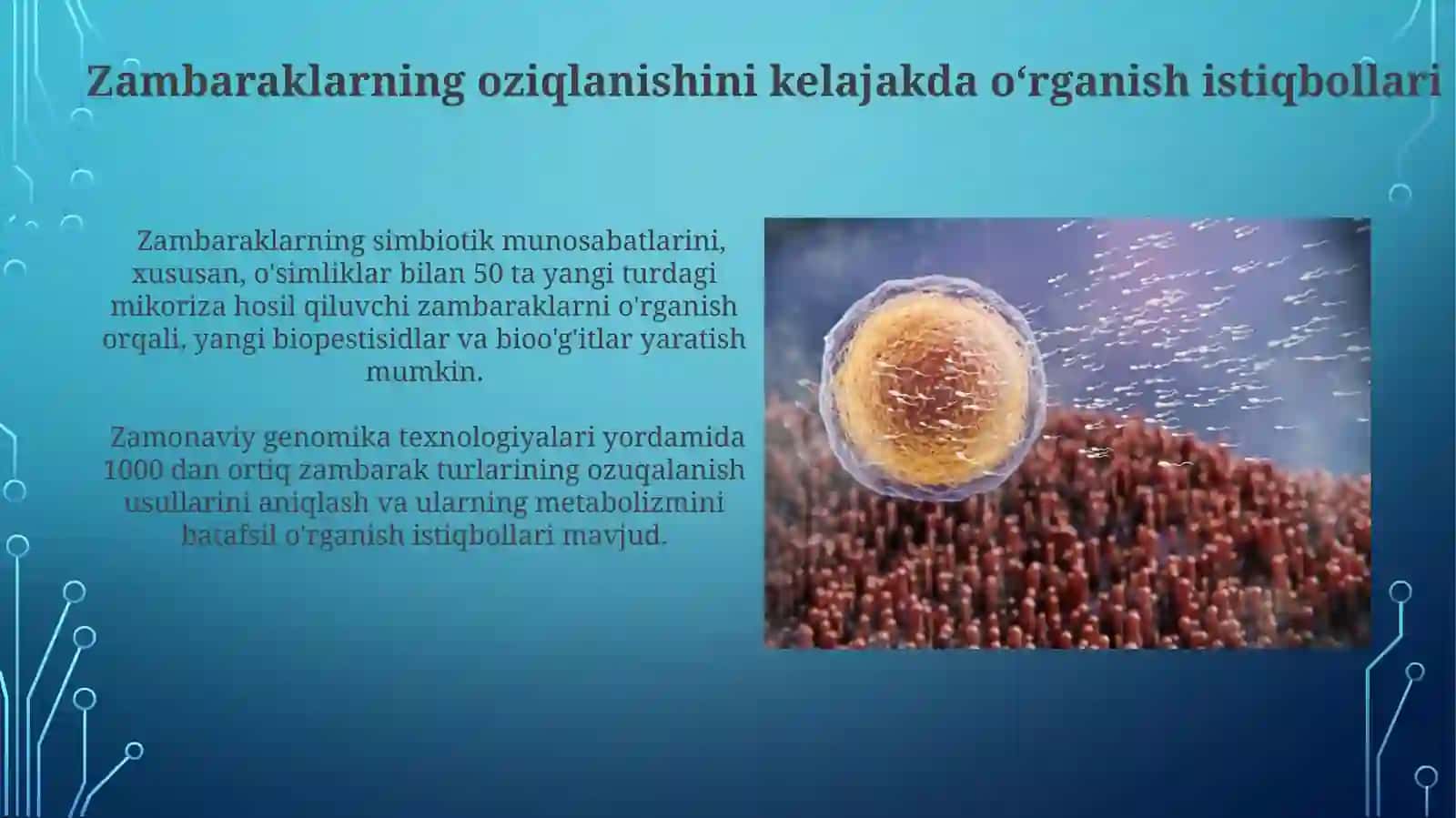 Zambaraklarning oziqlanishi: saprofitizm va parazitizm 3