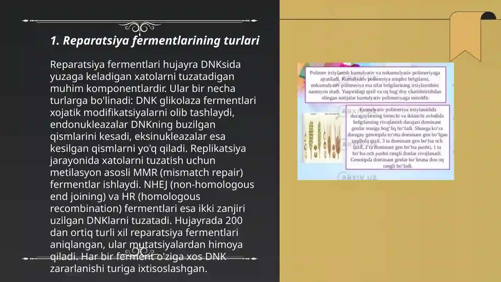 Reparatsiya fermentlari faoliyatining xilma-xilligi 3