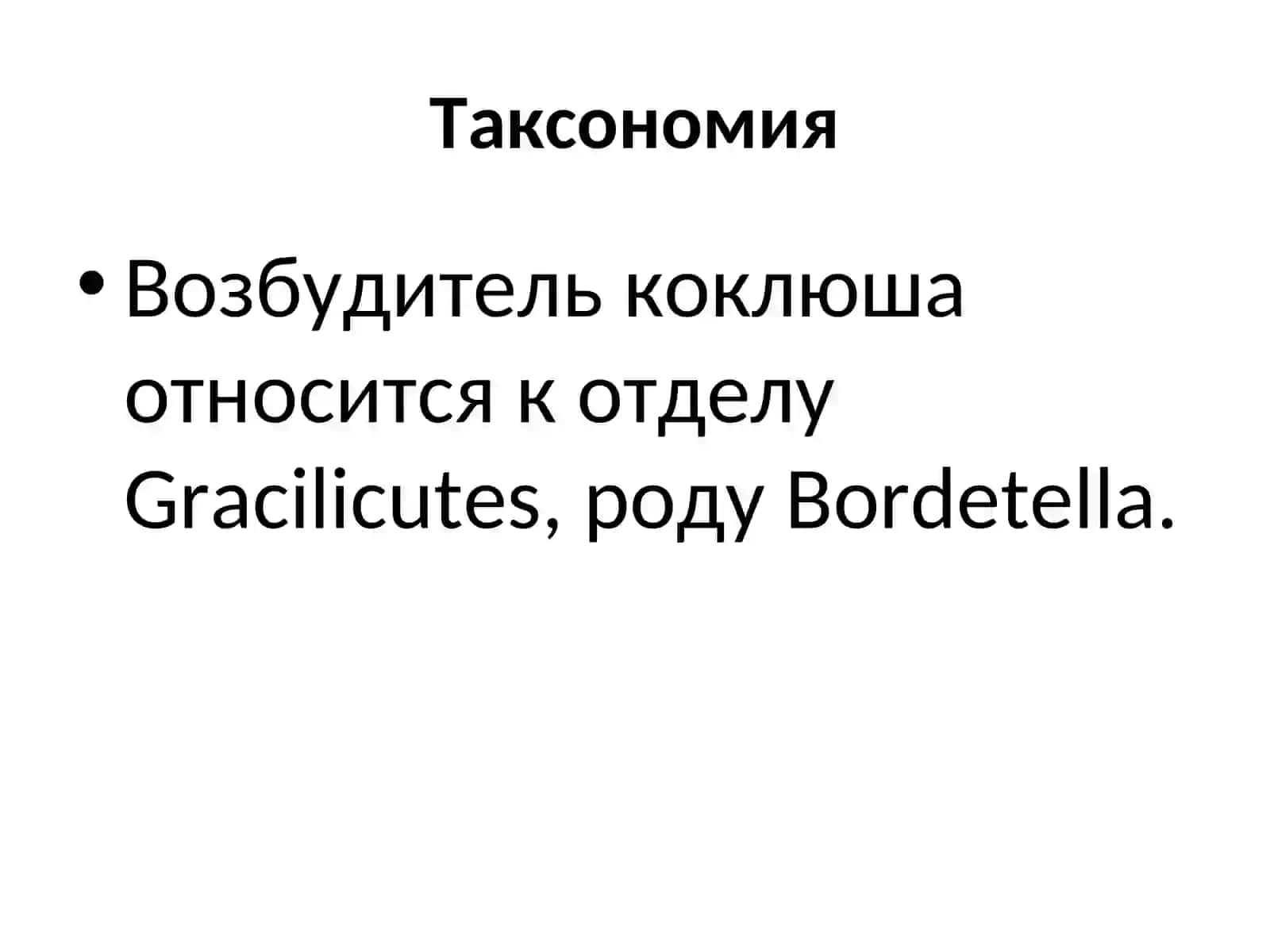 КОКЛЮШ 3
