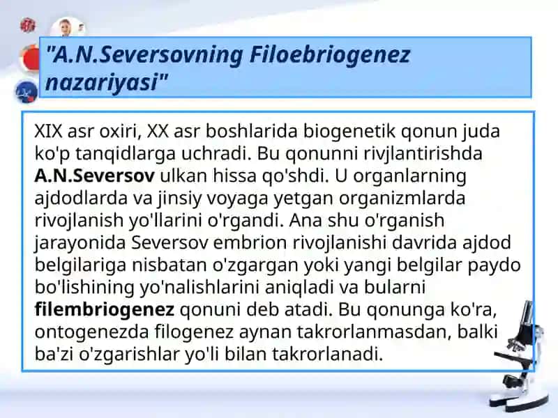 A.N.Seversovning Filoebriogeneznazariyasi 3